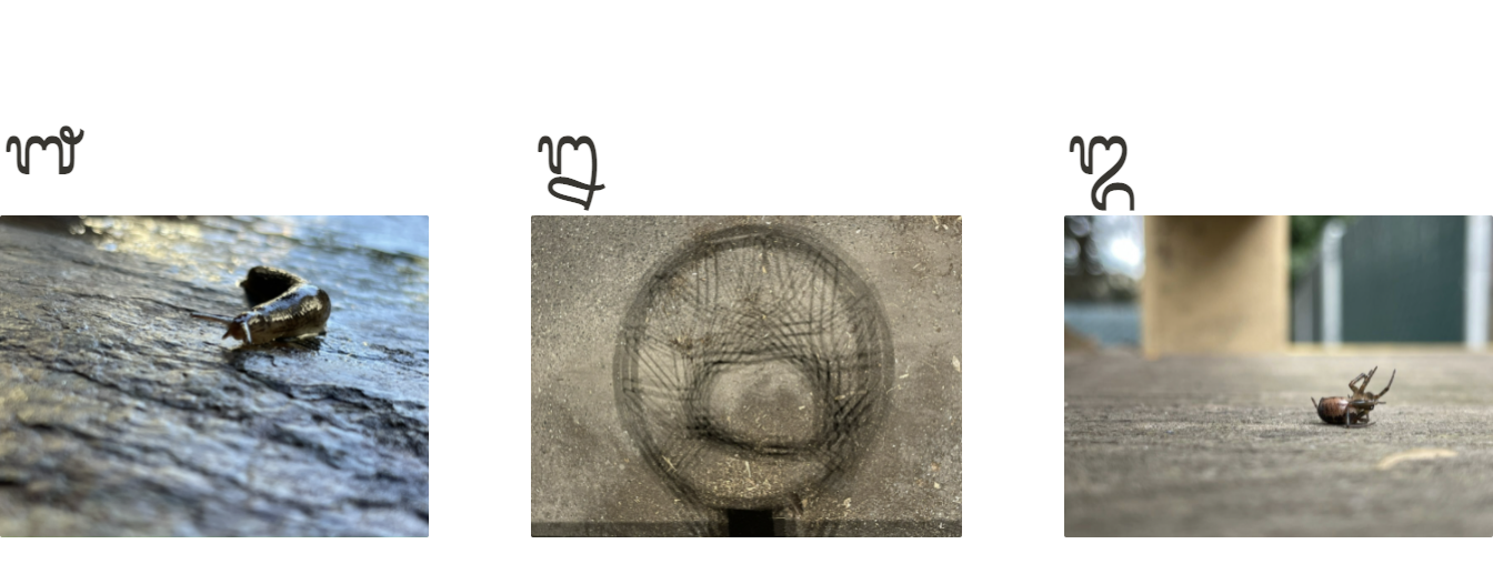In case you’re curious, the marks over the images are Balinese digits: 1 2 3. Gotta love that Unicode!